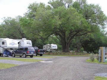 Trucks and RV’s parked among large oak trees.